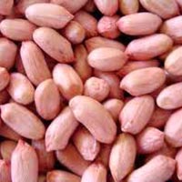 Java 40/50 Peanuts, For Oil, Human Consumption, Taste : Light Sweet