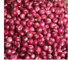 Red onion For Food