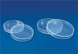 Agar Scientific Polypropylene Petri Dishes