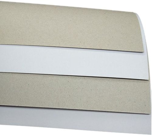 Grey Back Duplex Paper Plate Raw Material