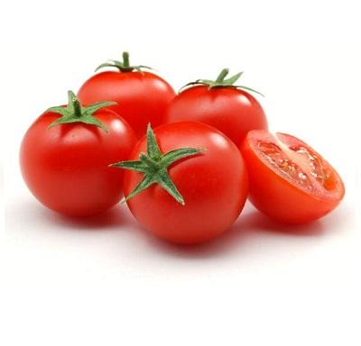 Fresh Tomato