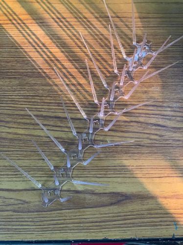 Polycarbonate Bird Spikes, Size : 12inch, 13 Inch