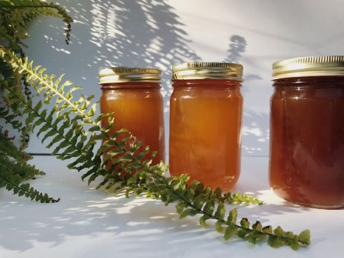 Packed Honey, For Clinical, Cosmetics, Foods, Medicines, Personal, Feature : Digestive, Hygienic Prepared