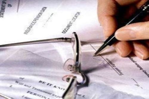 Government Liaisioning Services