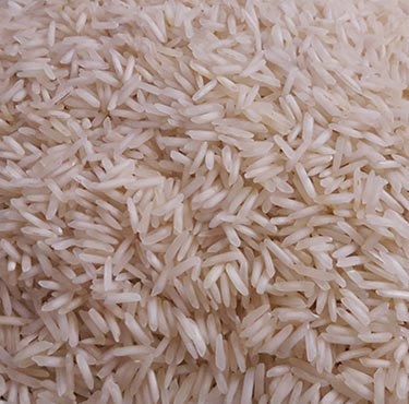 Hard 1509 Basmati Rice, For Cooking, Human Consumption, Certification : FSSAI Certified