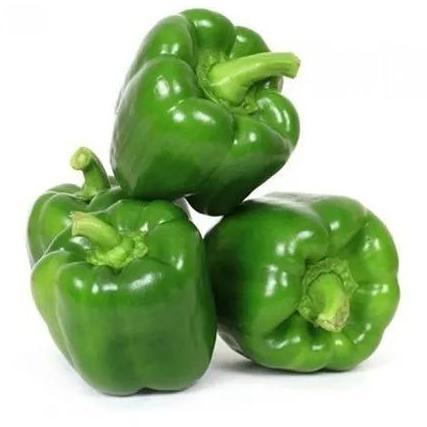 Natural Fresh Green Capsicum, For Cooking, Human Consumption, Packaging Type : Gunny Bags, Poly Bags