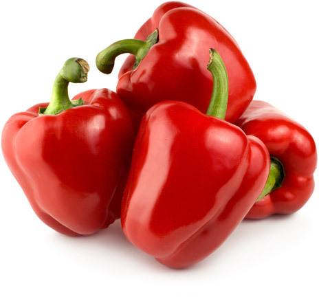 Natural Fresh Red Capsicum, For Human Consumption, Certification : FSSAI Certified