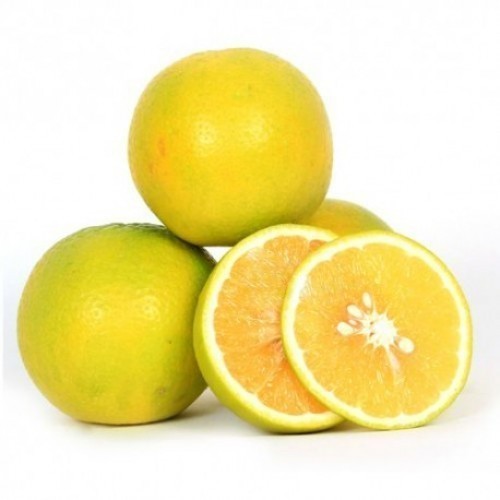 Fresh Sweet Lime, Certification : FSSAI