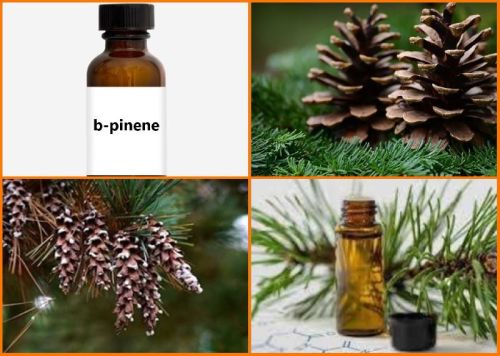 Beta Pinene Oil, Certification : ISO 9001:2008 Certified