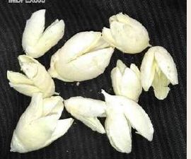 White Bakuli Bleach Dried Flower, For Decoration, Packaging Type : Plastic Pack