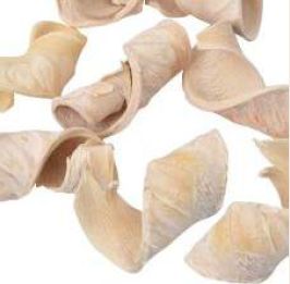Creamy Dried Bleached Elephant Ear Leaves, Packaging Type : Plastic Packet
