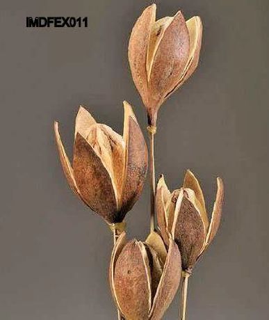 Dried Lily Flower For Decoration, Gifting