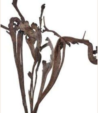 Brown Dried Natraj Branches, For Decoration, Shelf Life : 6 Months