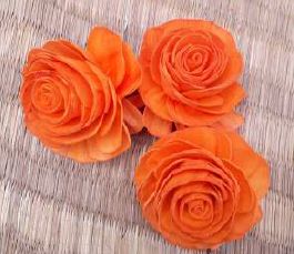 Sola Normal Beauty Rose Flower, For Decoration, Packaging Type : Plastic Bag