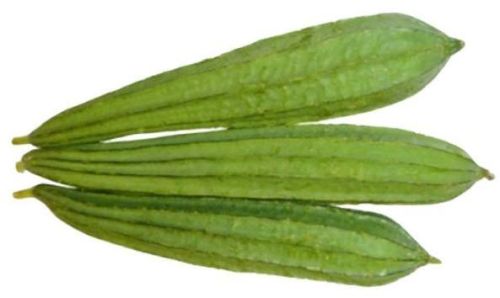 Round Natural Fresh Ridge Gourd, For Good Nutritions, Color : Green