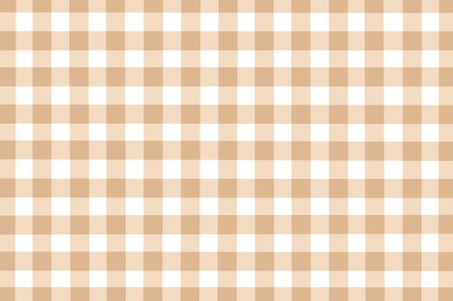 Gingham Fabric, For Textile Industry, Pattern : Checked