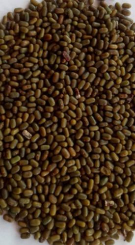 Organic Dhaincha Beans, For Agriculture Use, Color : Brown