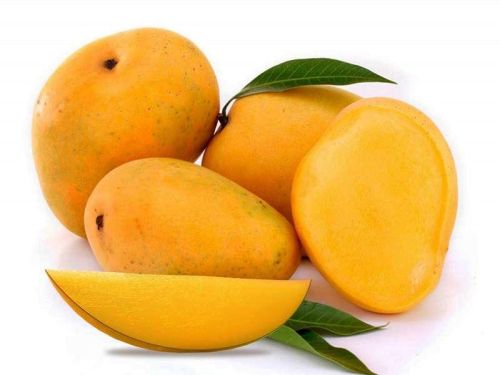 Yellow Natural Fresh Mango, For Human Consumption, Taste : Delicious Sweet