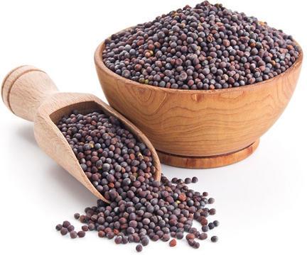 Natural Brown Mustard Seeds, For Cooking, Specialities : Good Quality