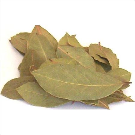 Natural Dried Bay Leaves