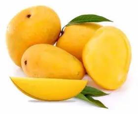 Natural Fresh Mango,fresh Mango, For Cooking, Cosmetics, Human Consumption, Packaging Type : Plastic Pouch