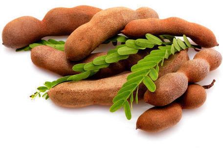 Natural Fresh Tamarind, For Food Medicine, Spices, Cooking, Packaging Type : Plastic Packet, Plastic Pouch