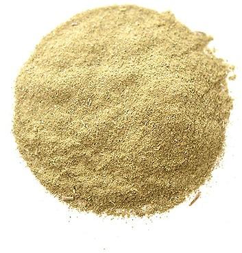 Organic Oregano Powder, For Cooking, Packaging Type : Pouch