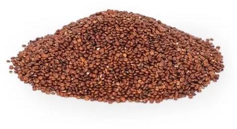 Organic Red Quinoa Seeds, For Cooking, Packaging Type : Plastic Bag