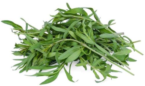 Organic Tarragon Leaves, Style : Fresh