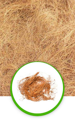 Brown Coconut Coir Fiber