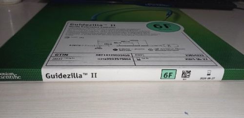 Guidezilla-ii Guide Extension Catheter