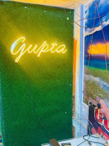 Plastic LED Neon Lights, Input Voltage : 110V for Decoration, Signage