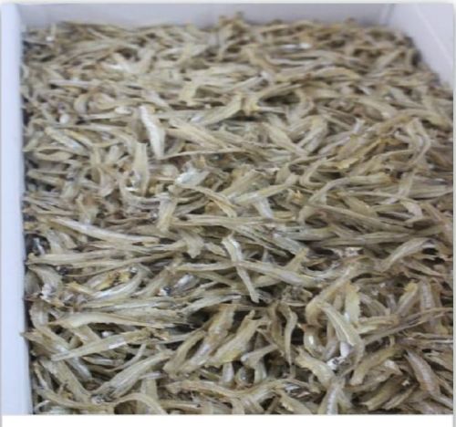 Dry Croaker Fish, For Human Consumption, Packaging Type : Vaccum Packed