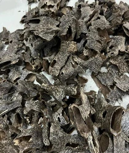 Agarwood Mori Fragrance, Moisture : 2%