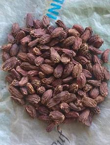 Black Cardamom Pods, Moisture : 14 % max