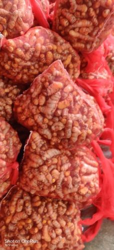 Fresh Turmeric, Form : Finger