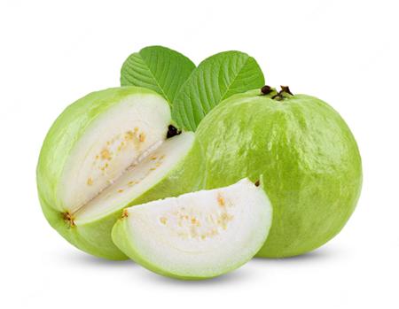 Round Organic Fresh Guava, For Human Consumption, Certification : FSSAI Certified