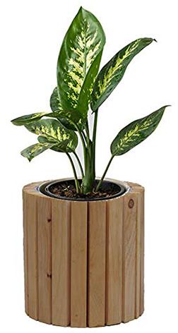 Polished Plain Wooden Flower Pot, Size : Standard