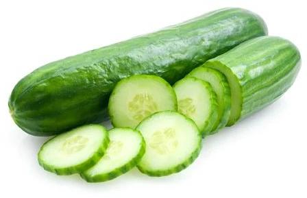 Fresh Cucumber,fresh Cucumber