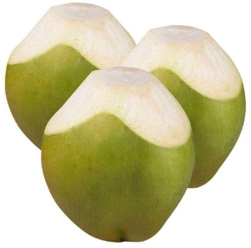 Fresh Tender Coconut, Packaging Type : Green