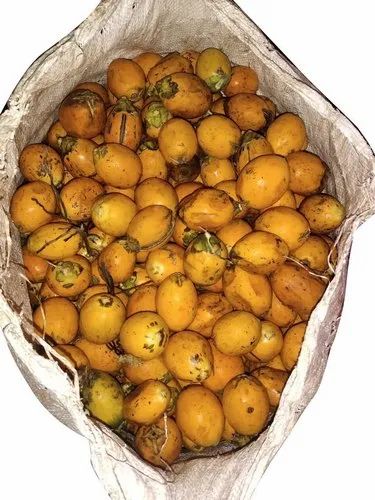 Organic Riped Betel Nuts, For Ayurvedic Formulation, Medicine, Form : Solid