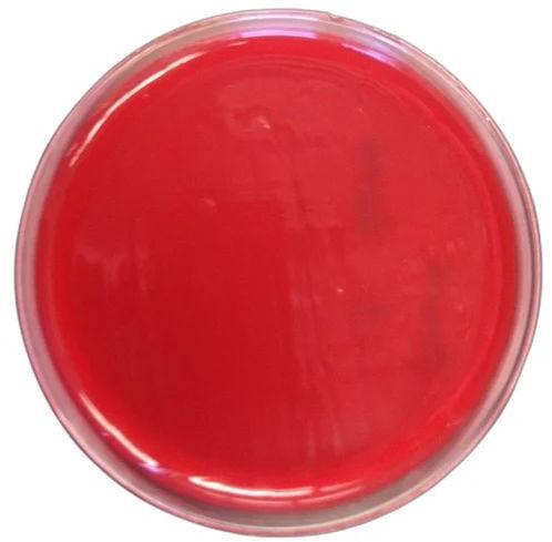 Circle Ready Made Blood Agar Plates