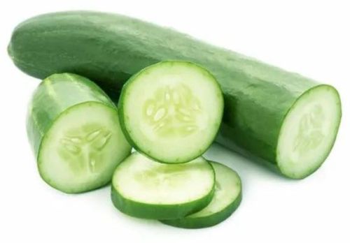 Fresh Cucumber,fresh Cucumber