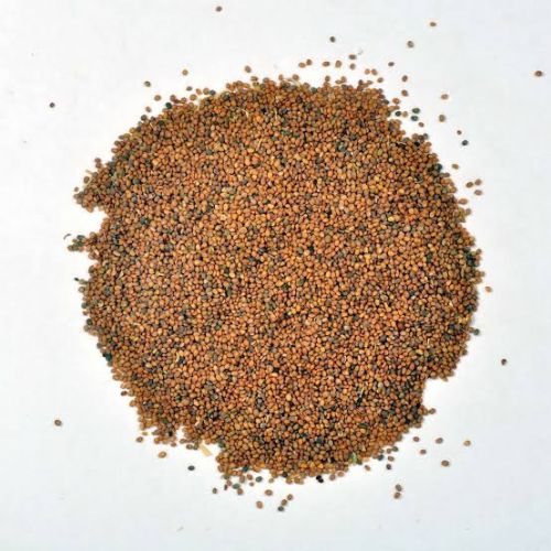 Organic Taramira Seeds, Feature : Natural Taste, Healthy