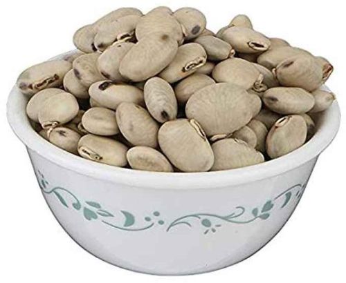 Mucuna Pruriens Seed Or Kaunch Beej, Packaging Type : PP Bags