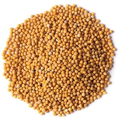 Organic Yellow Mustard Seeds, Color : Brown