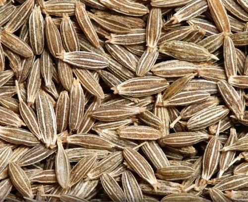 GUGLU Cumin Seeds, For Food Medicine, Spices, Certification : FSSAI Certified