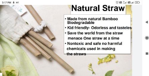 Bamboo Straw