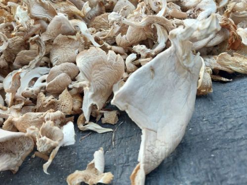 Beige Natural Dry Oyster Mushroom Vacuum-sealed Bag