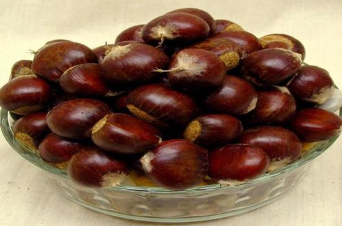 Smooth Bright Chest Nuts, Taste : Sweet Fragrant Delicious Taste